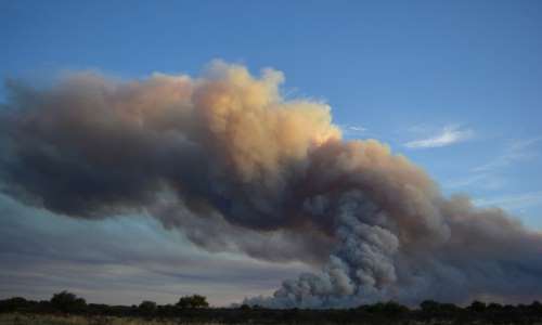 Incendios: hay casi 3 millones de hectáreas en riesgo en la región centro del país