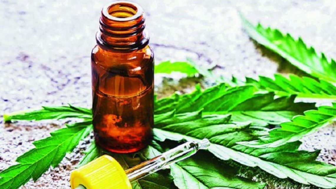 Aprobaron el cultivo y uso terapéutico de cannabis en Castelli