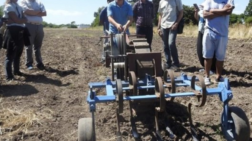 TECNOLOGÍA PARA EL TRABAJOEl INTA creó un tractor para que agricultores reemplacen la tracción a sangre