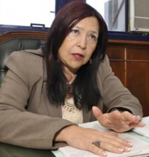 La justicia en épocas de Mauricio MacriUna jueza denunció que Mahíques la presionó para inculpar a CFK en la causa por el memorandum