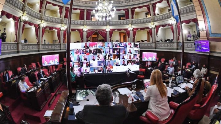 SenadoFue sancionada la ley que aplaza por un mes las PASO y las elecciones legislativas