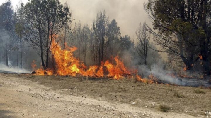 CórdobaLogran contener en un 80% el incendio forestal en la zona del Valle de Calamuchita