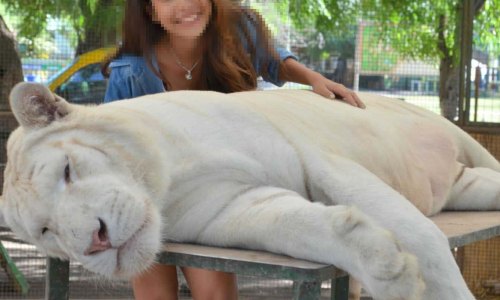 Zoo de Luján:«20 años de funcionamiento ilegal»
