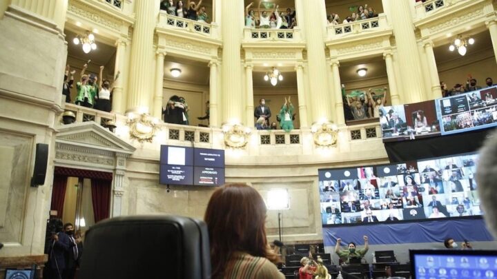 SenadoEs ley el aborto voluntario en Argentina