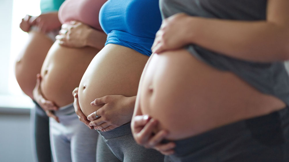 Asistencia socialEn 10 años, la Asignación por Embarazo benefició a casi dos millones de personas