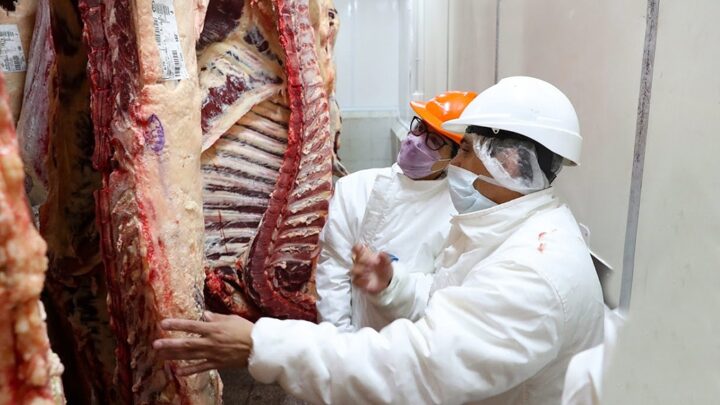 OperativoDesarticulan evasión millonaria en la exportación de carne a China