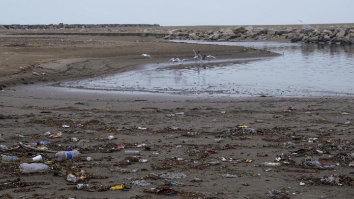 En los maresPronostican que los residuos de la pandemia terminarán formando piscinas de microplásticos