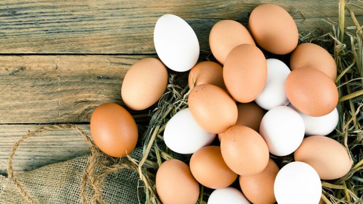 ExportaciónProductores de huevos elogiaron la decisión del Gobierno de eliminar retenciones al sector