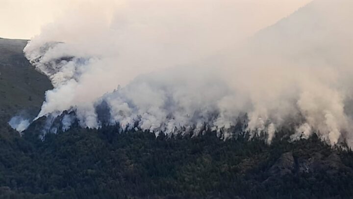 Medio ambienteFederovisky: «Los incendios en la Patagonia están asociados al cambio climático»