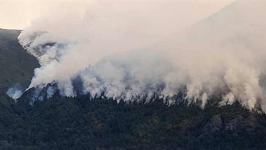 Medio ambienteFederovisky: «Los incendios en la Patagonia están asociados al cambio climático»