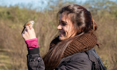 Como se pierde aves en Córdoba por el 'desarrollismo'Advierten sobre la pérdida de aves en las sierras de Córdoba