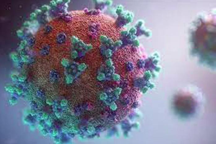CoronavirusHallan en Francia una nueva variante del coronavirus con 46 mutaciones