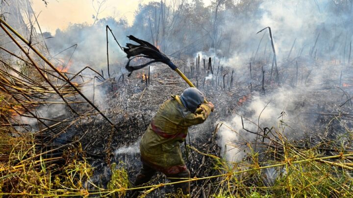Incendios forestalesLa lluvia trajo alivio en algunos puntos de Corrientes