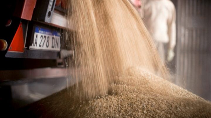  AgroindustriaReabrieron el registro de exportaciones de harina y aceite de soja