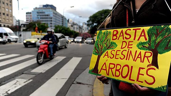 CABA:La Legislatura porteña pidió que Larreta informe por qué mandó a talar árboles en el Bajo