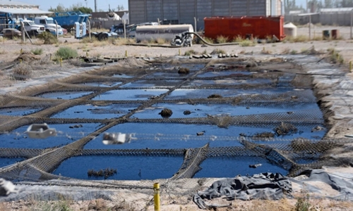 Empresarios acusados de contaminación con residuos petroleros en NeuquénResiduos petroleros y la ‘responsabilidad de las empresas’