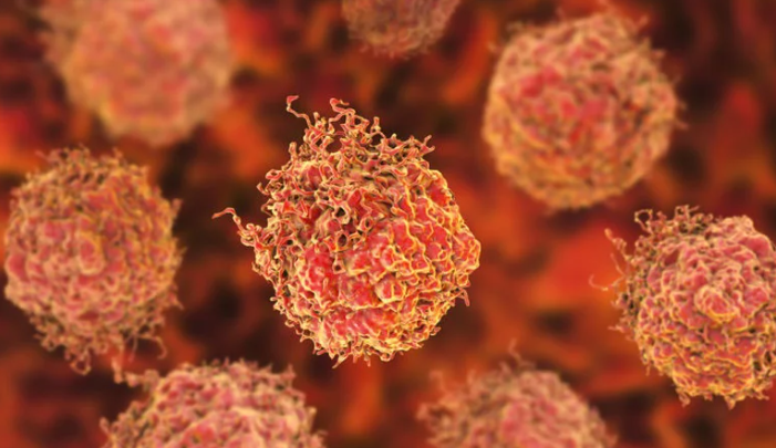SaludDescubrieron una nueva forma de cáncer de próstata resistente a la terapia hormonal