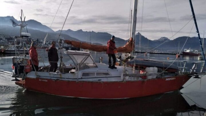 UshuaiaIdentificaron al velero que embistió una ballena en el Canal Beagle y ya interviene la Justicia