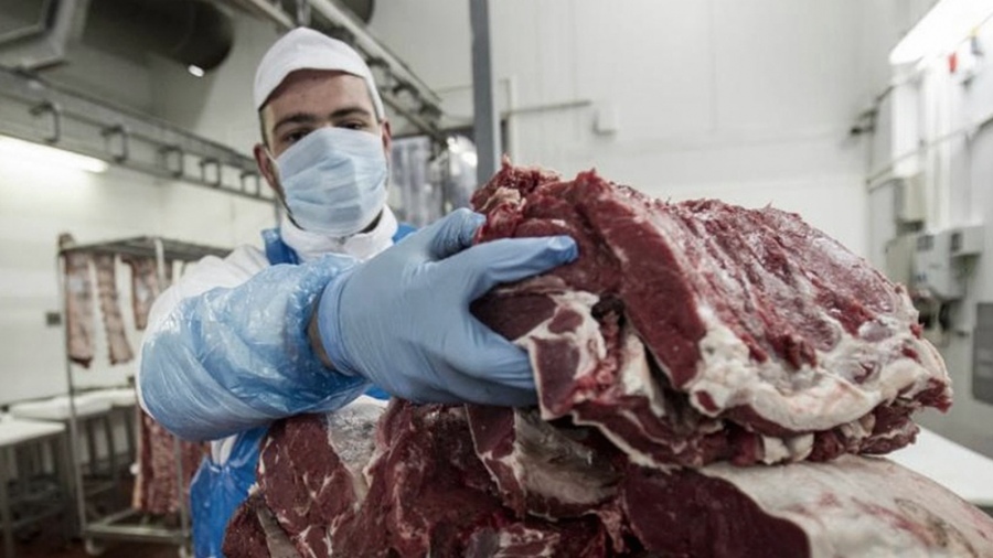 AGROCreció la producción y el consumo de carne bovina en el primer semestre