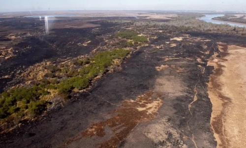 Ante nuevos incendios en el Delta buscan articular accionesIncendios en los humedales: legisladores abren el diálogo sobre la problemática ambiental
