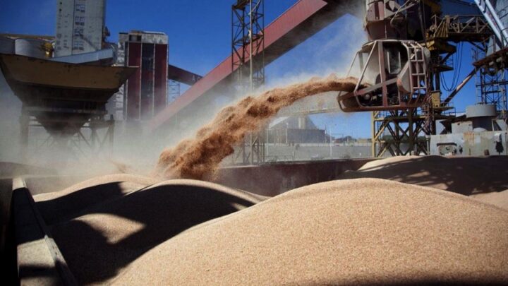 EN 2022Las exportaciones de granos podrían superar un «hito histórico» de US$ 40.500 millones