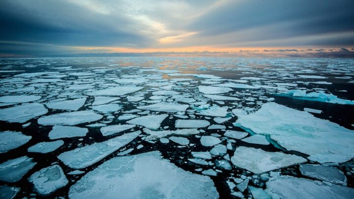 Cambio climáticoEl Ártico se calienta cuatro veces más rápido que el resto del planeta