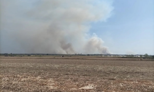 Preocupa incendio forestal en zona de YungasSe incendió uno de los lugares de mayor biodiversidad en el país y hay preocupación