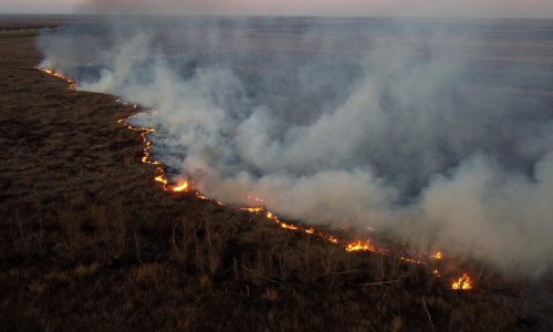 Situación críticaEl fuego afecta al Iberá y desde diciembre ya se quemaron 31.000 hectáreas en Corrientes