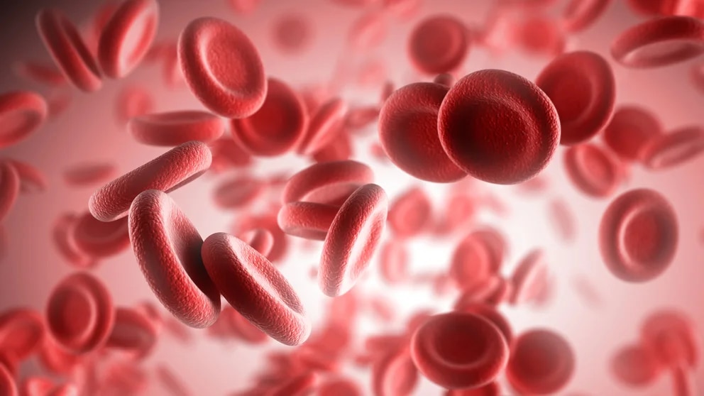 SaludQué es la anemia y cómo prevenirla