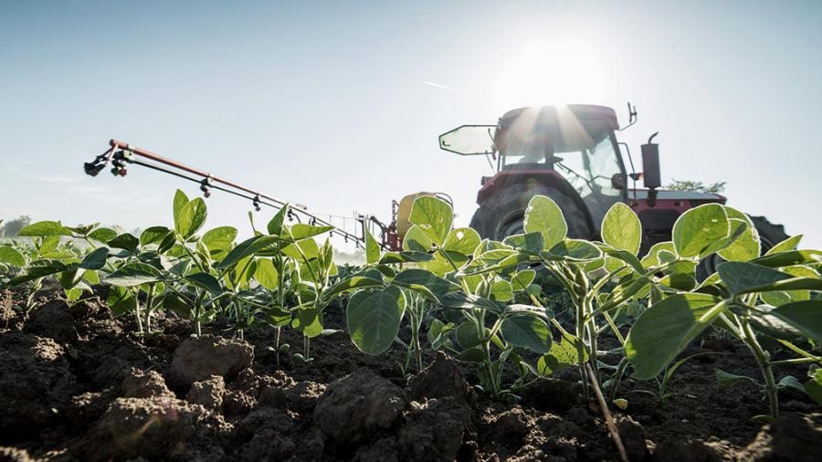 DivisasTras dos semanas de vigencia del «dólar soja», agroexportadores ingresaron US$ 3.564 millones