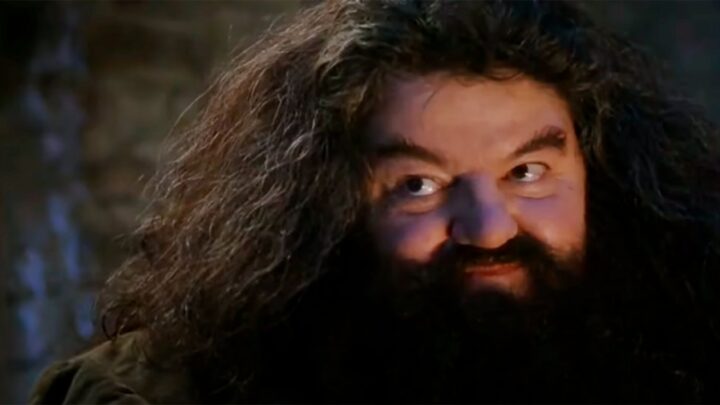Actor y comediante escocésRobbie Coltrane, el inolvidable Hagrid de «Harry Potter», murió a los 72 años