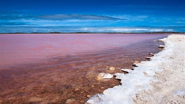 TendenciaLa ruta de los 5 lagos color rosado más bellos del mundo y el porqué de su extraño aspecto
