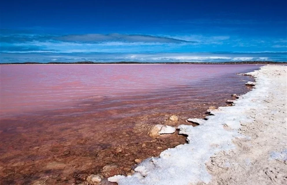 TendenciaLa ruta de los 5 lagos color rosado más bellos del mundo y el porqué de su extraño aspecto
