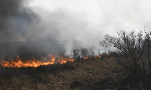 El Litoral sigue ardiendo mientras la Ley de Humedales duermeEn 102 días quemaron 170.000 hectáreas del Delta