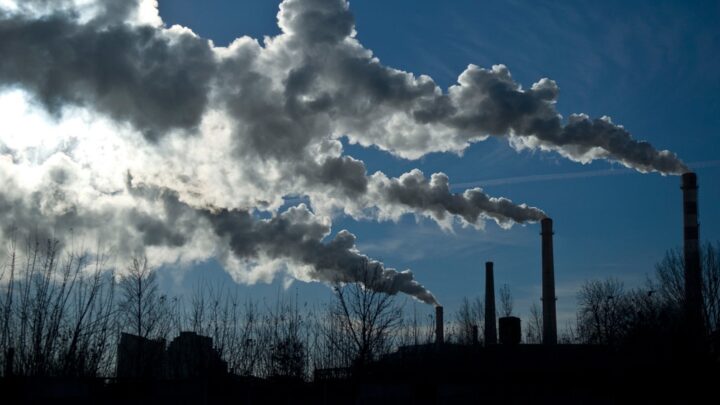  Informe en la COP27El sur global necesitará multimillonarias inversiones para enfrentar el cambio climático
