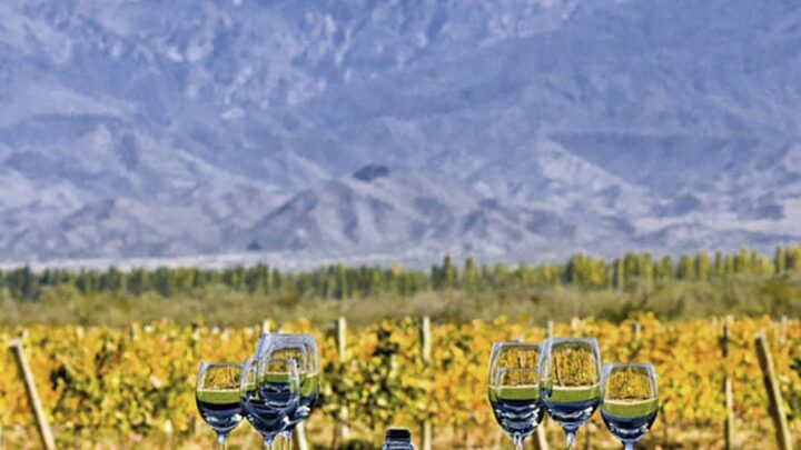 EnoturismoRadiografía del turismo del vino: 320 bodegas en 14 provincias abren sus puertas a los visitantes