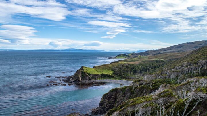  Tierra del FuegoBuscan proteger por ley a Península Mitre, el mayor reservorio de carbono del país