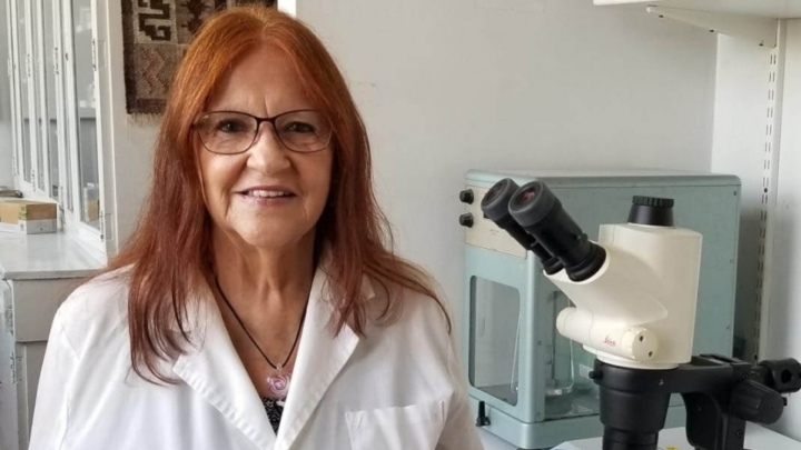Ciencia Argentina Lograron un importante avance para combatir la enfermedad de Alzheimer