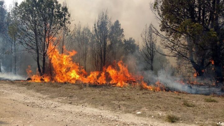 Bomberos combaten las llamas Seis provincias y CABA mantienen focos activos de incendios forestales