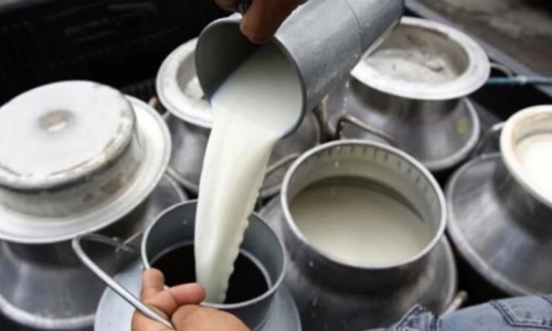 Investigación encuentra pesticida cancerígeno en la lecheEncontraron un pesticida cancerígeno en la leche de tambos de Villa María