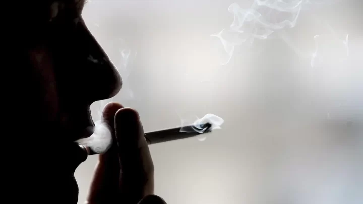 SaludFumar tabaco contamina el planeta: cuatro efectos ambientales del cigarrillo