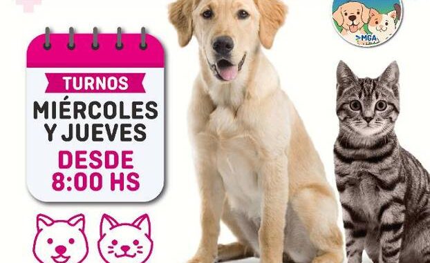 MiramarCampaña Gratuita de Castraciones de Mascotas: nueva plataforma online