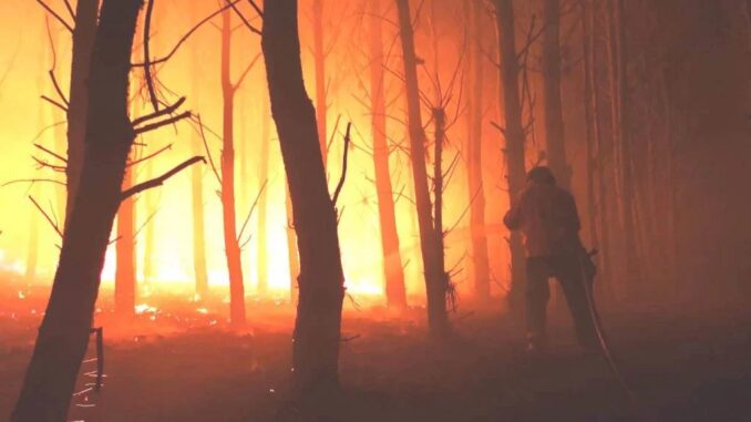 Miramar“Para muchos es el incendio forestal más grande y más importante de nuestra profesión”
