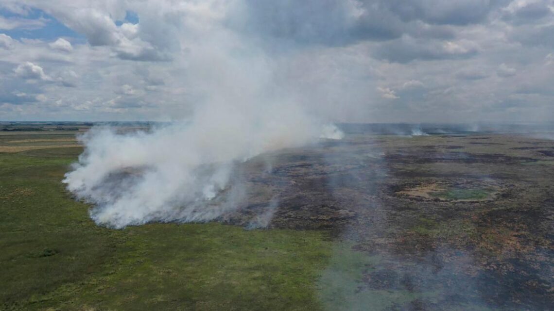  Servicio Nacional de Manejo del FuegoHay focos activos de incendios forestales en Corrientes, Entre Ríos y Chubut
