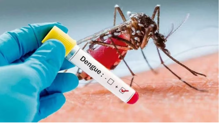 SaludSe registró un fuerte aumento de los casos de dengue y chikungunya en la última semana en la Argentina
