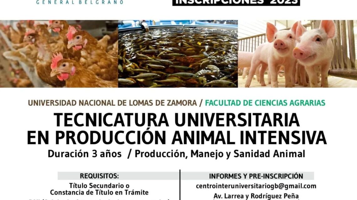BelgranoCIU 2023:Ya podes inscribirte para la nueva tecnicatura universitaria en producción animal intensiva