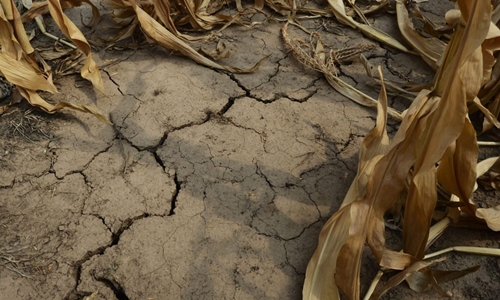 Casi el 60% de Argentina bajo sequíaMás del 59 % del territorio de Argentina sufre sequía, según un informe