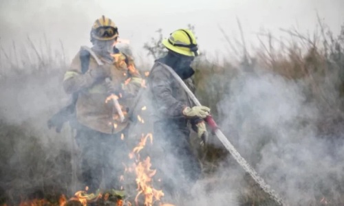 Corrientes: ya hay quemadas más de 100.000 hectáreasEl fuego arrasó con 100.566 hectáreas en lo que va del año