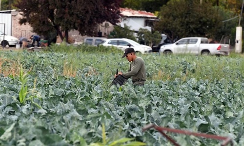 Alertan del desmanejo de agrotóxicos en MendozaUn secreto a voces: alto riesgo por el mal uso de agroquímicos en Mendoza