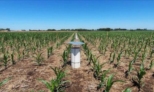 Lobby de agronegocio impulsa el suelo como solución climáticaLos suelos argentinos almacenan el 2% del carbono mundial y contribuyen a mitigar el cambio climático